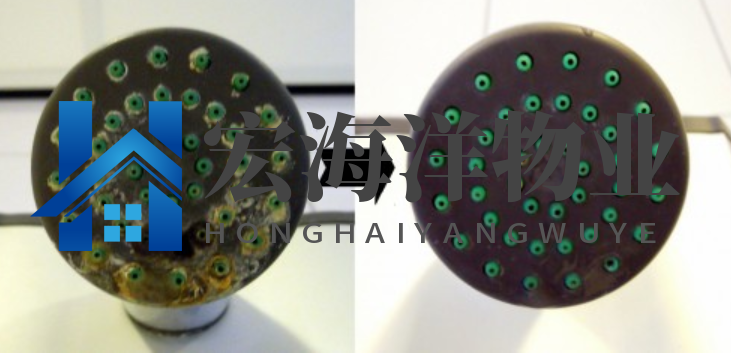 清洗淋浴噴頭有困難？有了這個(gè)技巧就很容易了！